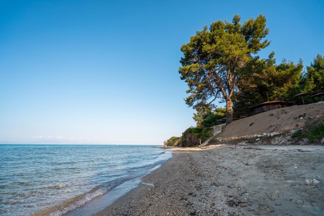 Theo Bungalows Kriopigi Bagian luar foto